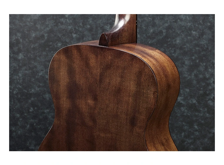 Ibanez PC-12MH OPN akgitar 